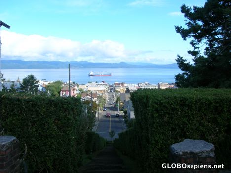 Postcard View from the steps