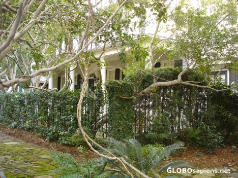 Postcard Charleston home
