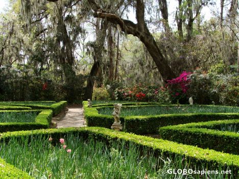 Postcard Hedge garden