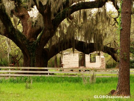 Postcard Old slave cabin