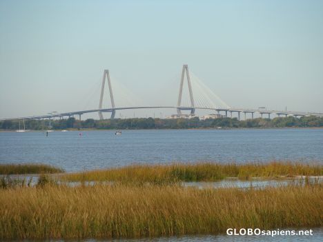 Postcard For Fred- The Arthur Ravenel Bridge