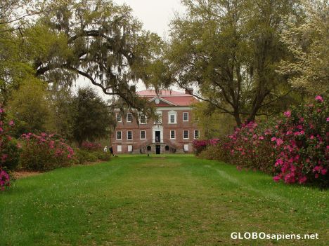 Postcard Drayton Hall 2