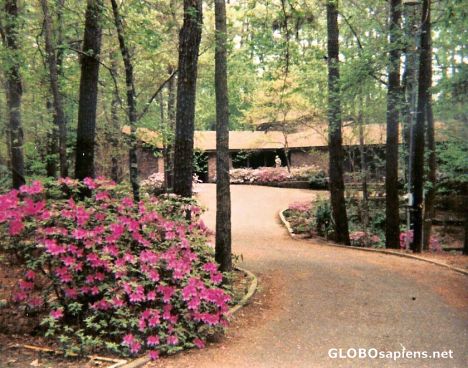 Postcard My Crockett House