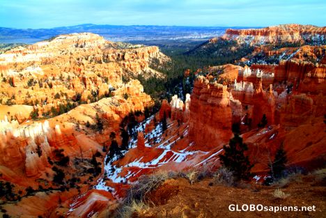 Postcard Bryce Canyon - General View