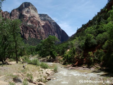Postcard The Virgin River