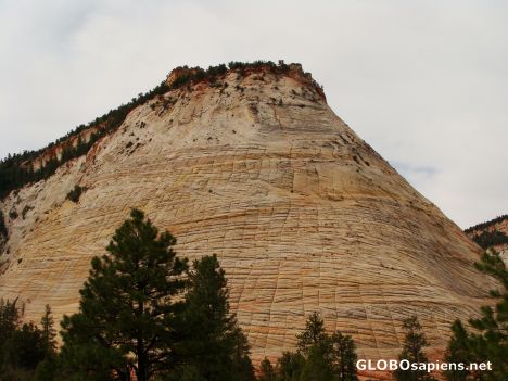 Postcard Checkerboard Mesa