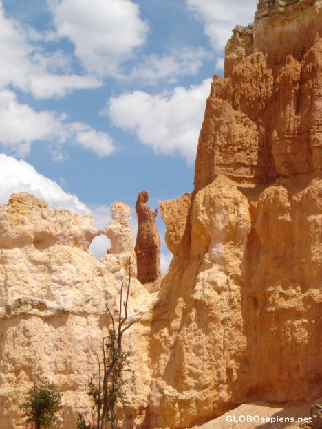 Postcard Woman praying