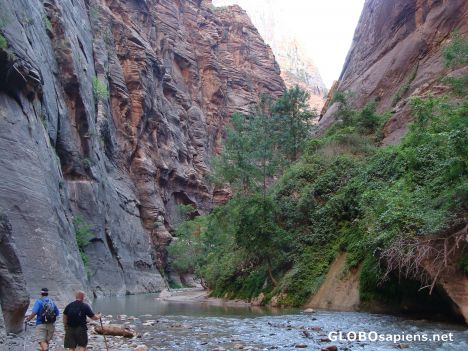 Postcard Entrance to the Narrows