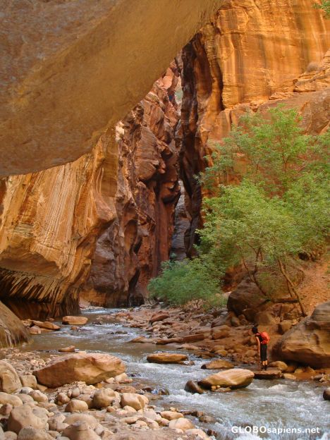 Postcard The Narrows