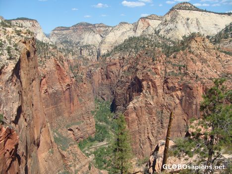 Postcard The beauty of Zion
