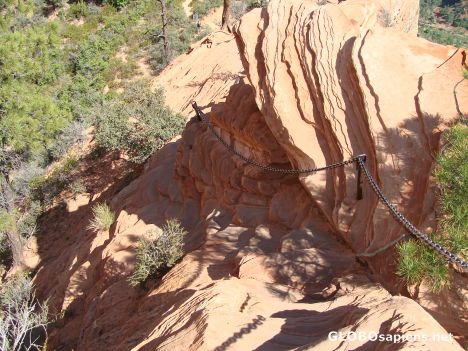 Postcard The Trail