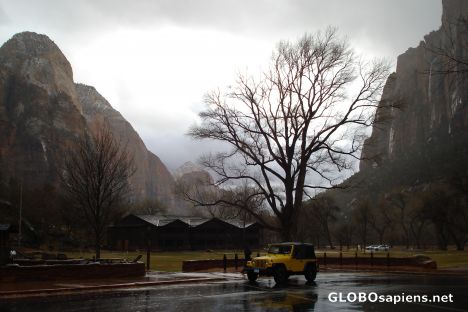 Postcard January Zion