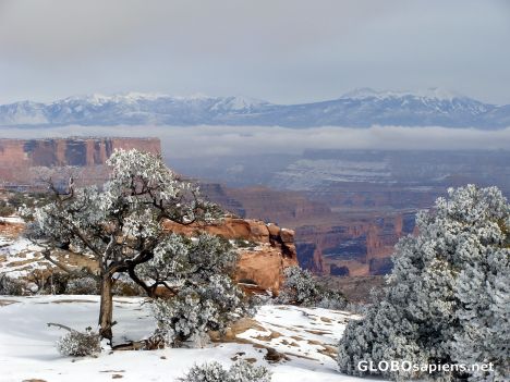 Postcard Canyonlands