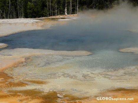 Postcard Solitary Geyser
