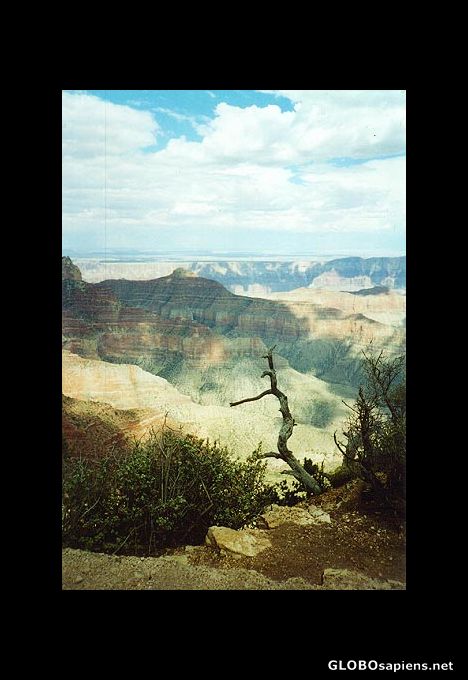 Postcard Grand Canyon