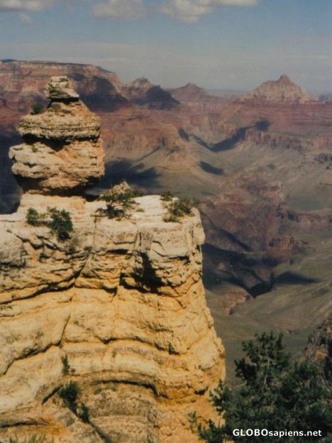 Postcard Grand Canyon South Rim