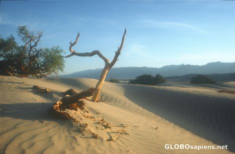 Postcard Death Valley