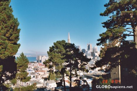 Postcard VIEW FROM RUSSIAN HILL
