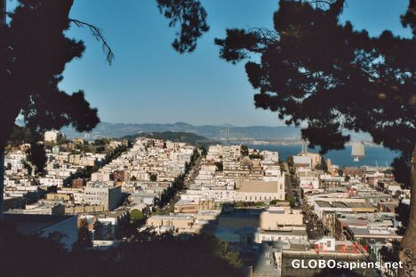 Postcard VIEW FROM TELEGRAPH HILL