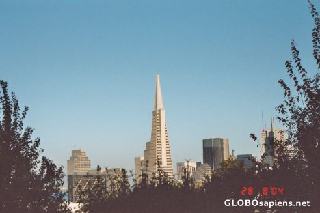 Postcard TRANSAMERICAN BUILDING-FROM RUSSIAN HILL