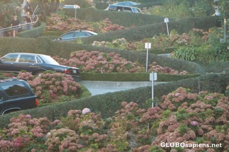 Postcard LOMBARD STREET IN SAN FRANCISCO