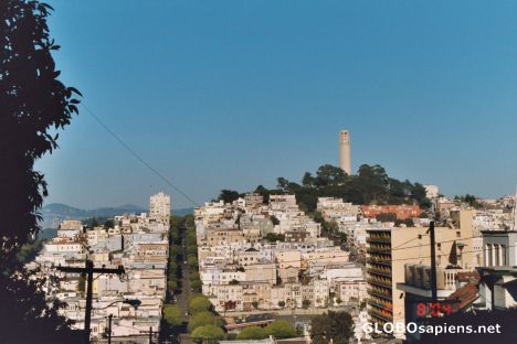 Postcard SAN FRANCISCO NEIGHBORHOOD