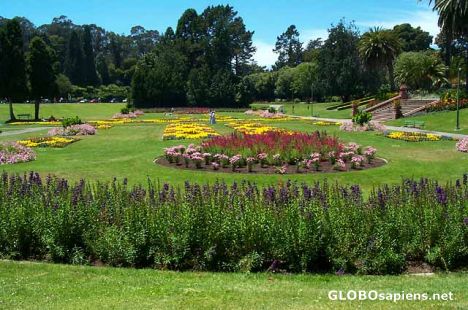 Postcard Flower Garden in Golden Gate Park