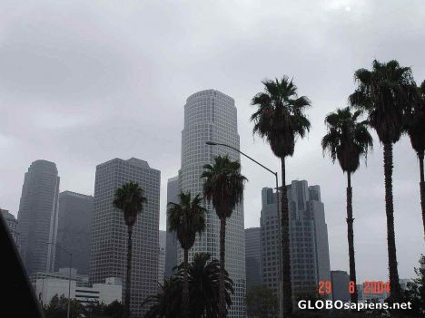 Postcard Los Angeles sky scrappers.