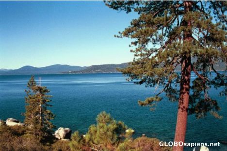 Postcard Magnificent alpine Tahoe