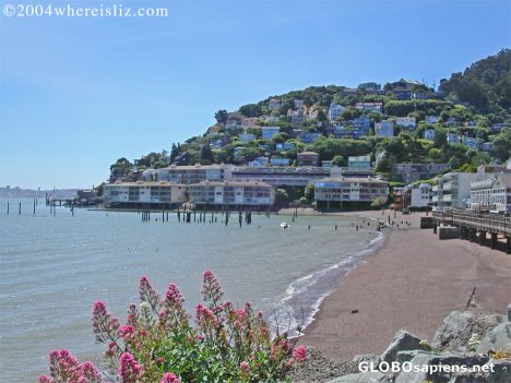 Postcard Sausalito Seashore, California