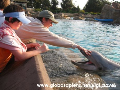 Postcard Sea World