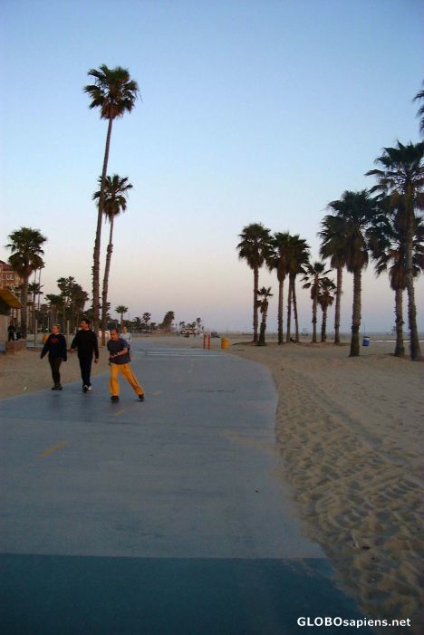 Postcard Skaters by the ocean