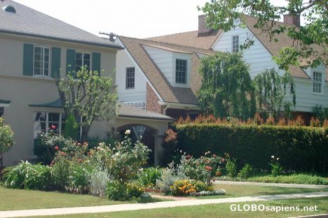 Postcard Houses in LA