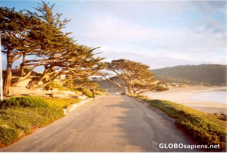 Postcard Carmel Street
