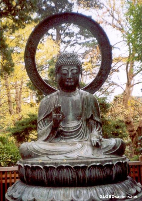 Postcard Buddha