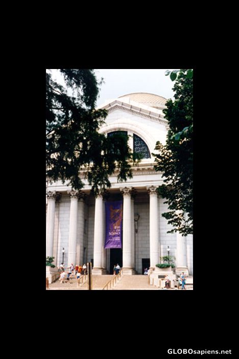 Postcard National Museum of Natural History
