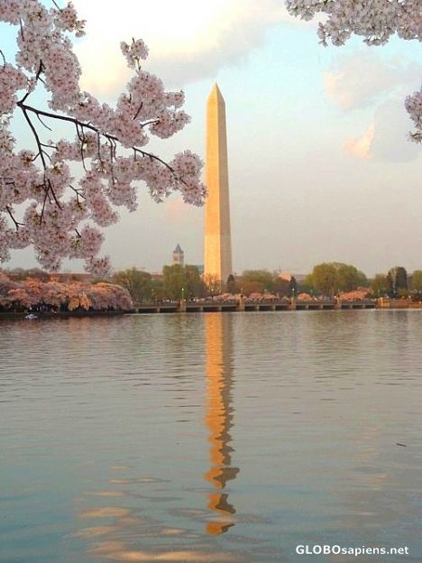 Postcard Washington Monument