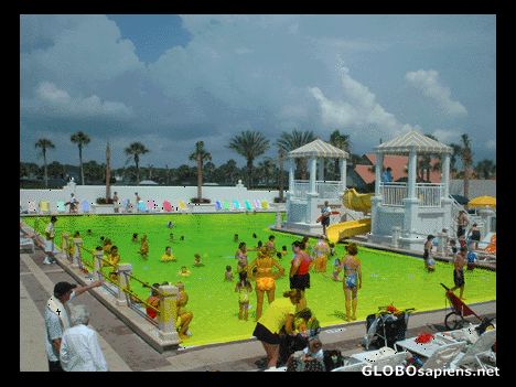 Postcard Kids Pool