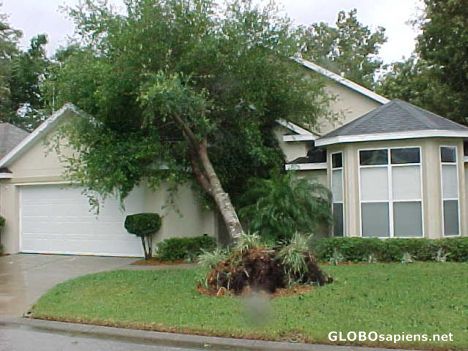 Postcard The house next door September 5, 2004