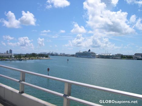 Postcard Norwegian Dawn at Port of Miami (every thursday)