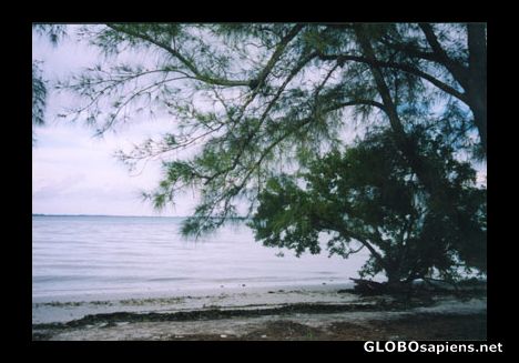 Postcard Beach on Sanibel Island