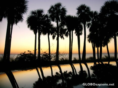 Reflections of the sunset