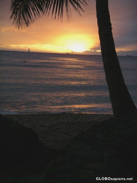 Postcard sunset