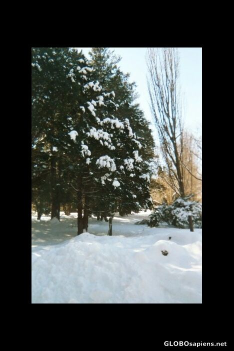 Postcard winter in connecticut
