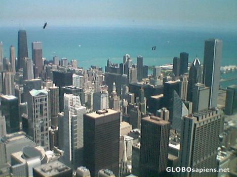 Postcard From Sears Tower