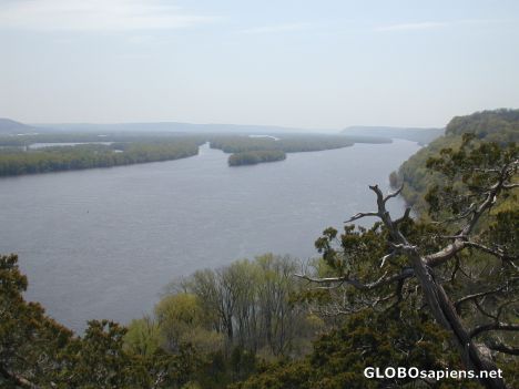 Postcard The Mississippi River