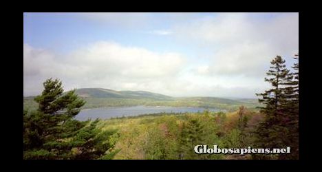 Postcard Turning into indian summer