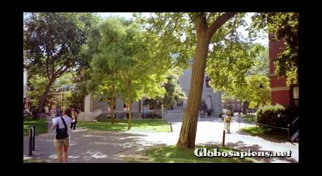 Postcard Harvard University. Boston