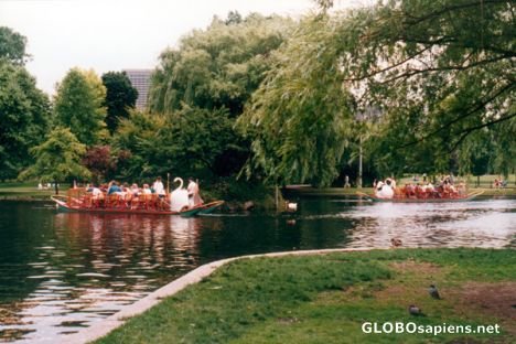 Postcard Boston Public Garden Swan Boats