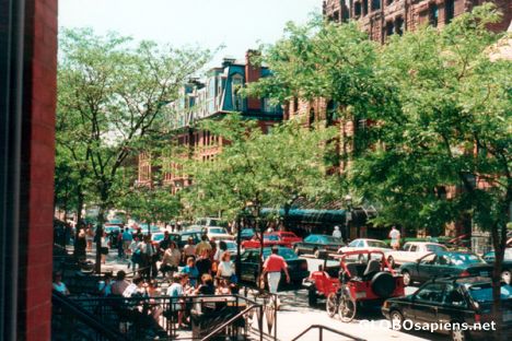 Postcard Boston Newbury Street